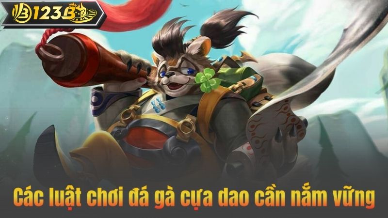 Các luật chơi đá gà cựa dao cần nắm vững
