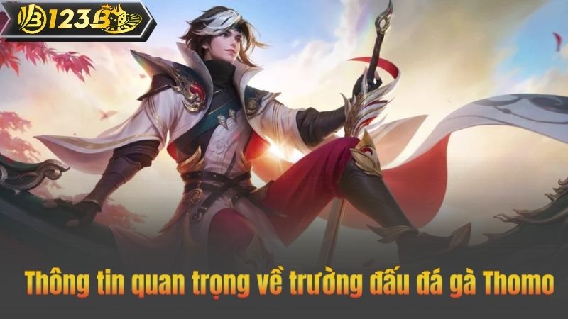 Thông tin quan trọng về trường đấu đá gà Thomo