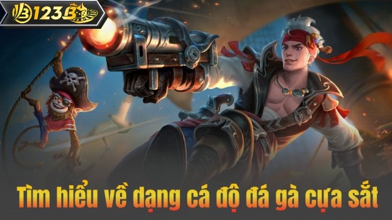 Tìm hiểu về dạng cá độ đá gà cựa sắt