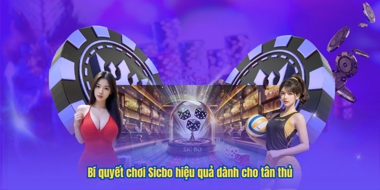 Bí quyết chơi Sicbo hiệu quả dành cho tân thủ